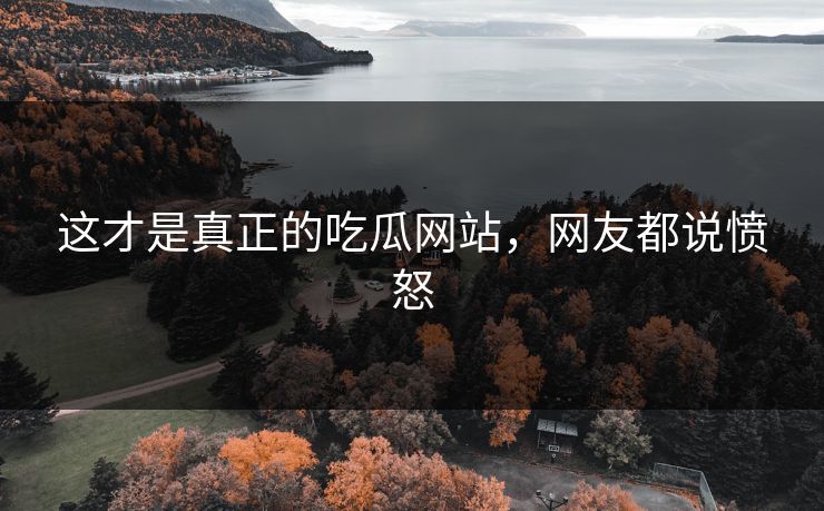 这才是真正的吃瓜网站，网友都说愤怒