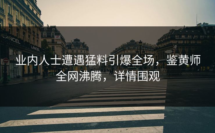 业内人士遭遇猛料引爆全场，鉴黄师全网沸腾，详情围观