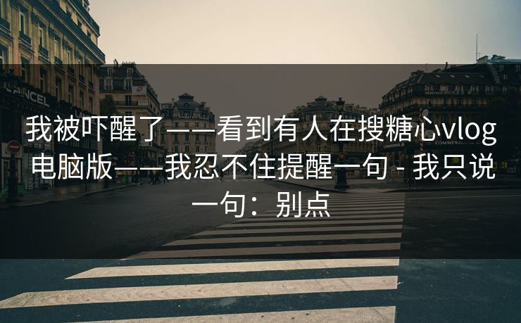 我被吓醒了——看到有人在搜糖心vlog电脑版——我忍不住提醒一句 - 我只说一句：别点