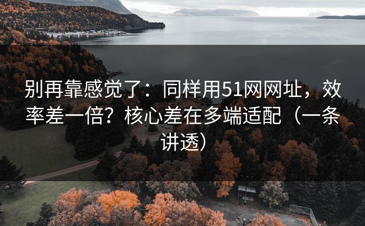 别再靠感觉了：同样用51网网址，效率差一倍？核心差在多端适配（一条讲透）