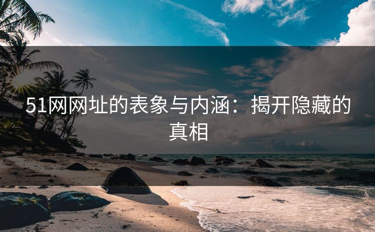 51网网址的表象与内涵：揭开隐藏的真相